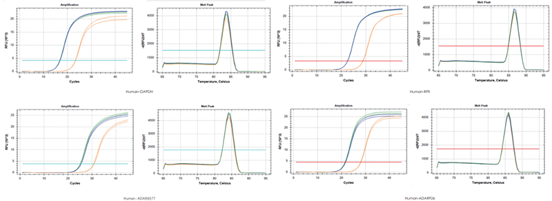 使用TransGen產(chǎn)品，以200 ng RNA、200 ng RNA+200 ng gDNA、200 ng gDNA為  模板進(jìn)行反轉(zhuǎn)錄后定量擴(kuò)增不同基因。結(jié)果表明，TransGen產(chǎn)品具有強(qiáng)的gDNA去除能力。